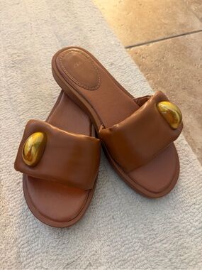 Zara  Brown Slide Sandals with Gold Accent